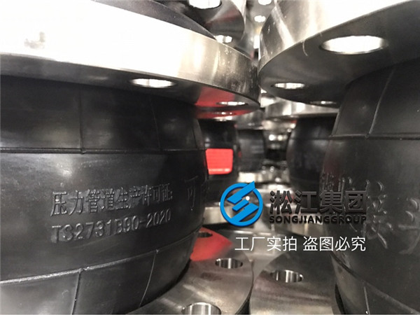 Stainless Steel 316L Flange EPDM Rubber Soft Joint Ready for Development