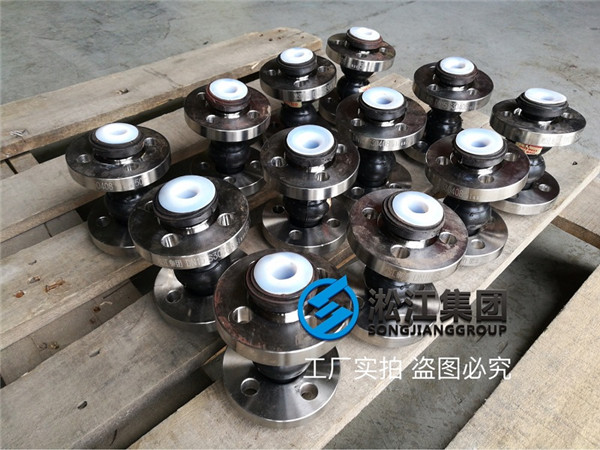 What does DN15 double ball rubber soft joint look like with strong acid resistance