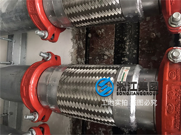 Application Site of Hoop-type Metal Hose in Shanghai Silver Commerce Science Park